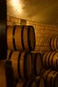 Czym wykończyć ściany w piwnicy