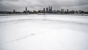 Co zamiast papy na dach płaski